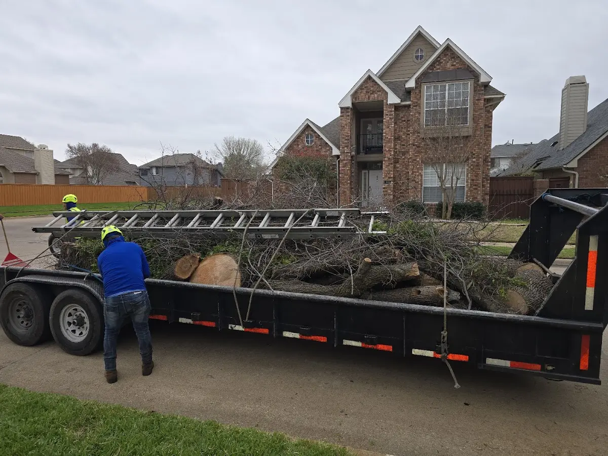 Expert Tree Fertilization with proper safety equipment in Cedar Rapids